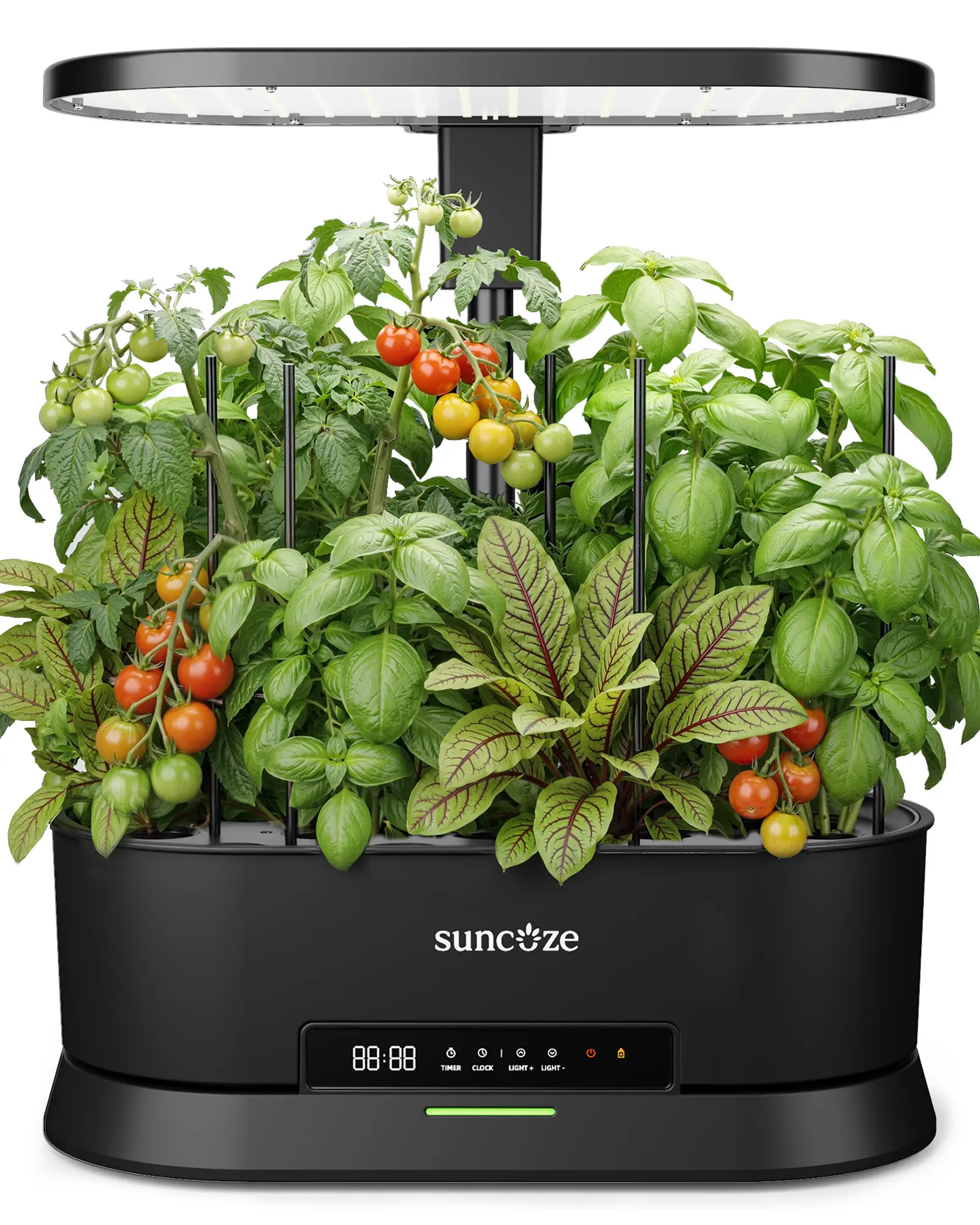 SUNCOZE Hydroponics Growing System with Removable Tank, 36W Dimmable Full Spectrum LED Grow Light, 12 Pods Indoor Herb Garden with 5L Split Water Tank, 21.6" Height Adjustable Hydroponic Garden tiktokshopbacktoschool