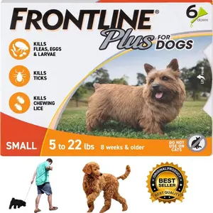 Frontline Plus Topical Spot-On for Small Dogs (5-22 lbs) - 6 Monthly Doses, Waterproof Flea & Tick Protection