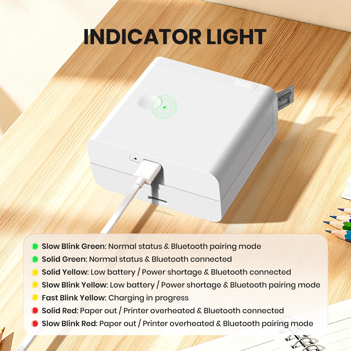 Portable Bluetooth Label Printer D12 Wireless Handheld Thermal Printer with Tape Mini Sticker Maker for Barcodes Storage Office Home Organization