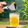 【AREL】Stainless Steel Citrus Juicer, Ergonomic Manual Lemon & Lime Squeezer, Easy-Squeeze Side Press Design, Foldable Space-Saving Kitchen Tool