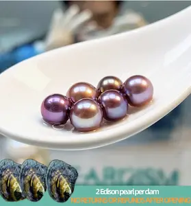 【Will】Mulberry Double Edisons (2 Deep Color Pearls 7-10mm in 1 Clam)｜Live Opening 2 Edison pearl per clam Non-Refundable NO RETURNS OR REFUNDS AFTER