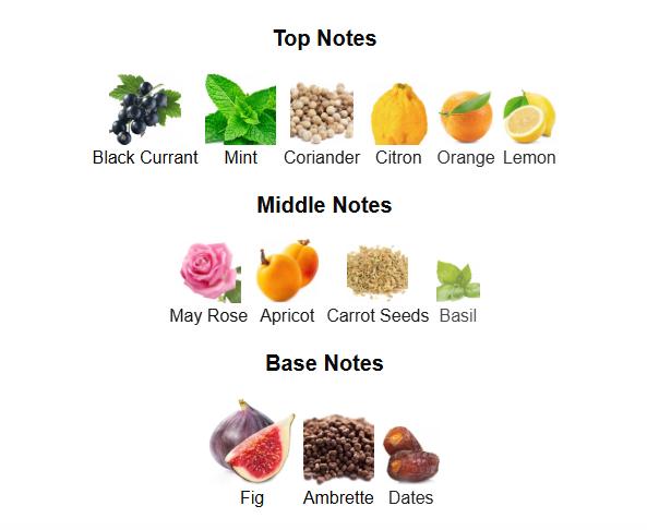 Maison Alhambra Jean Lowe Vibe for Unisex Eau de Parfum Spray, 3.4 Ounce Maison Alhambra Jean Lowe Vibe for Unisex Eau de Parfum Spray, 3.4 Ounce