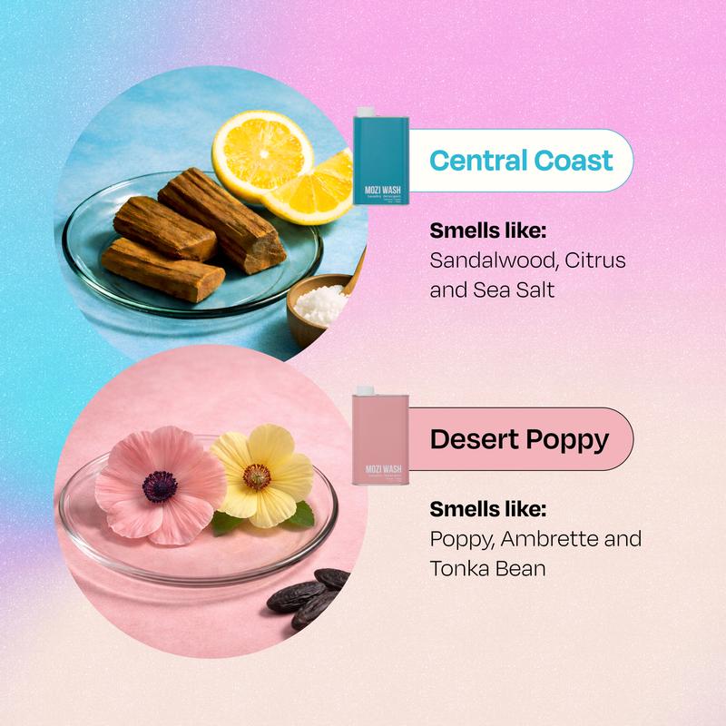 MOZI WASH 2 Pack Liquid Laundry Detergent - Central Coast & Cozy Cashmere - Ultra Concentrated, Eco-Friendly, Non-Toxic, Biodegradable - 50+ Loads per Tin - HE Safe, Phthalate Free, Paraben Free, Phosphate Free