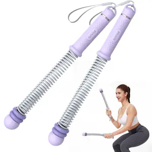 AerVital 2026 New Upgrade Weighted Cordless Battle Ropes – Quiet Ropeless Training Rope Fitness Equipment for Home Workout, Strength Training, HIIT, Cardio Exercise & Gym Sessions, Indoor & Outdoor Workouts for Men & Women, Purple