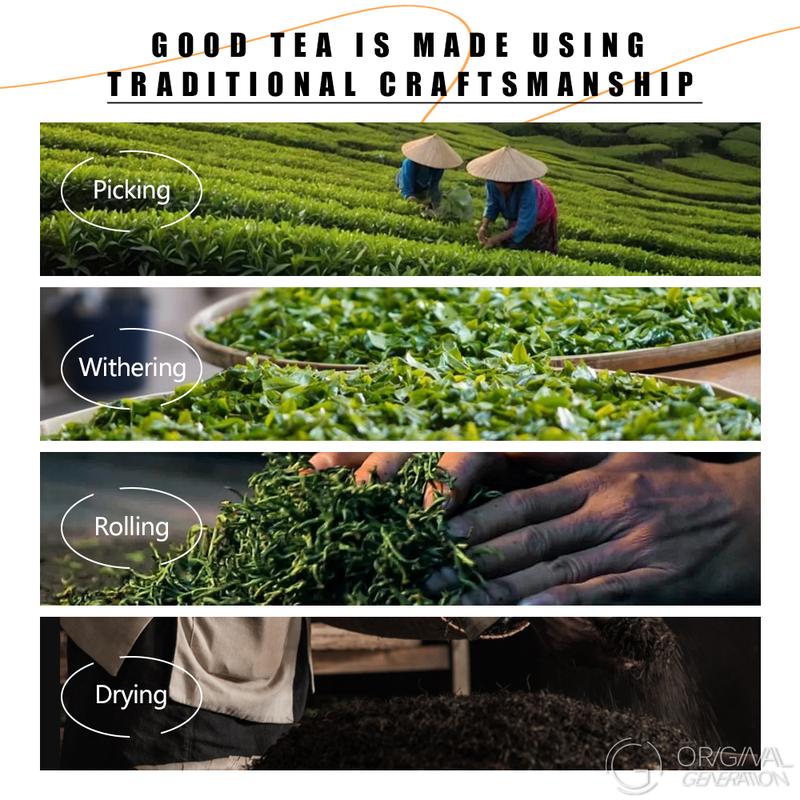 BOGO Gut Health Tea Chai Ceylon Black Tea With Forest Thermos 2 Cartons (1 Carton 30g 3g×10packs）×2 Sri Lankan Black Tea