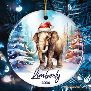 Elephant Personalized Ornament, Magical Arctic Glow Christmas Gift With Custom Name and Date