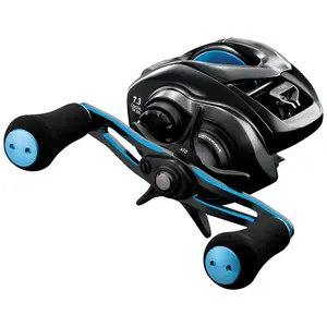 Daiwa Coastal TW 200 Baitcasting Reel