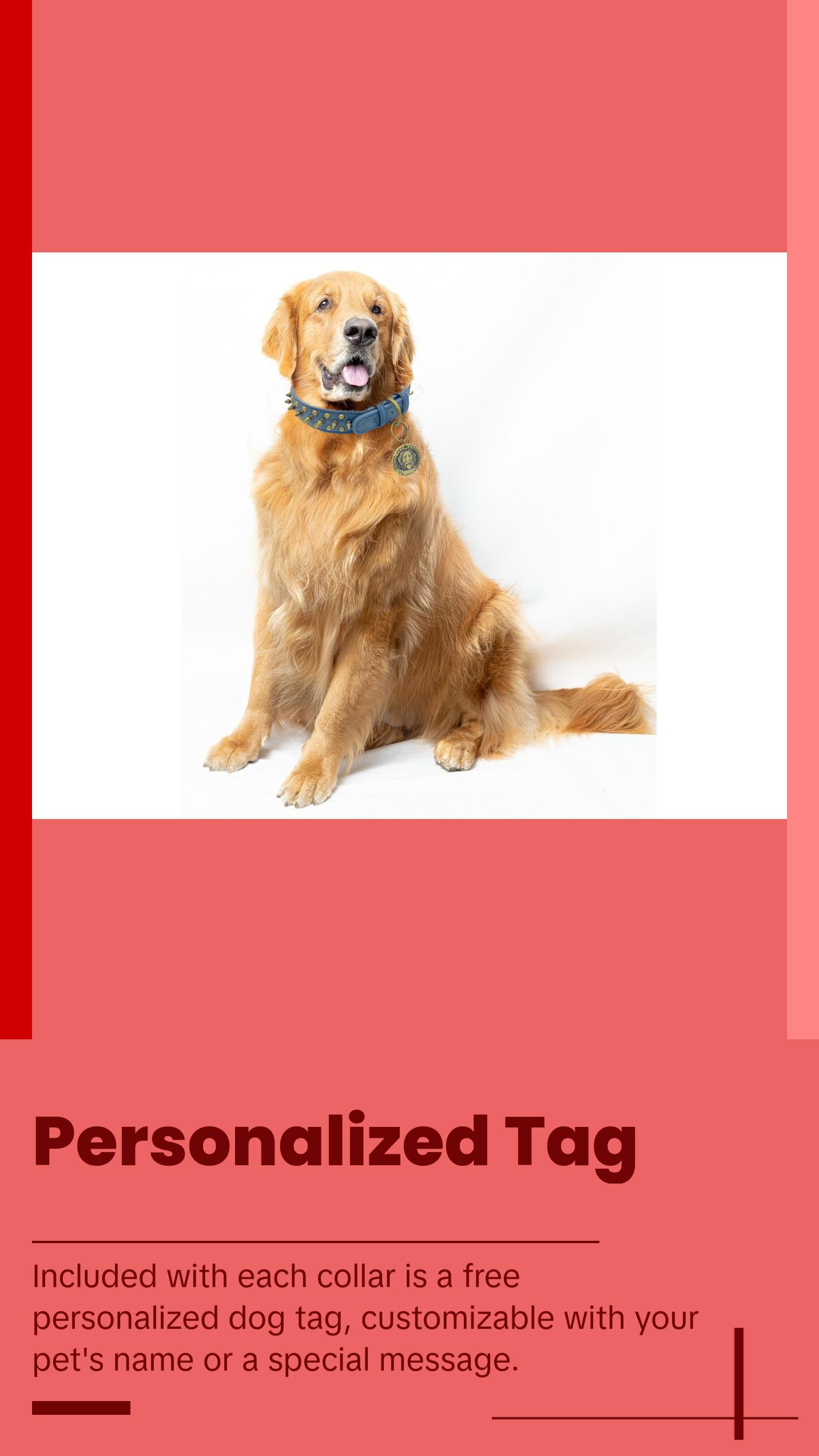 JACK Rivets Handmade PU Leather Dog Collar