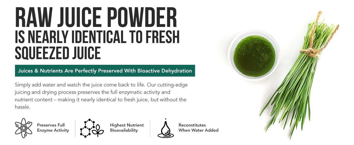 Triquetra Health Organic Barley Grass Juice Powder - Cold-Pressed, Raw Form Health & Nutrition Dietary Supplement