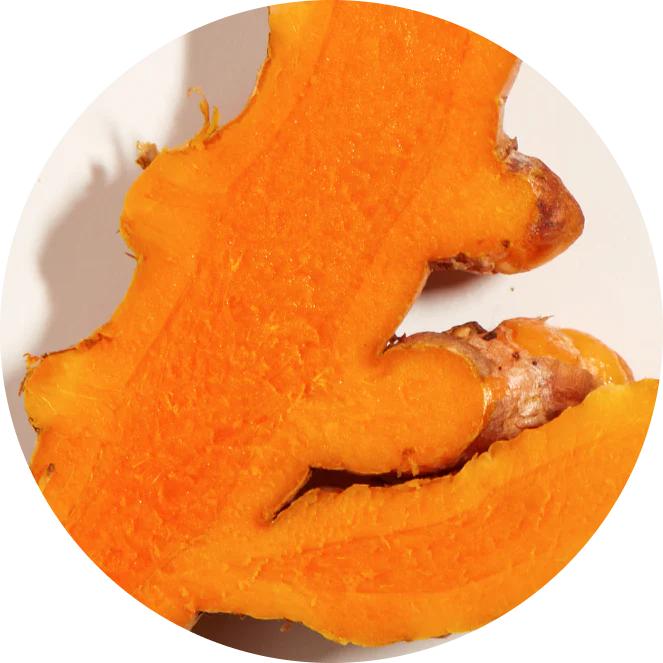 Ultra Hydrating Turmeric Shampoo Natural Moisturizing Herbal