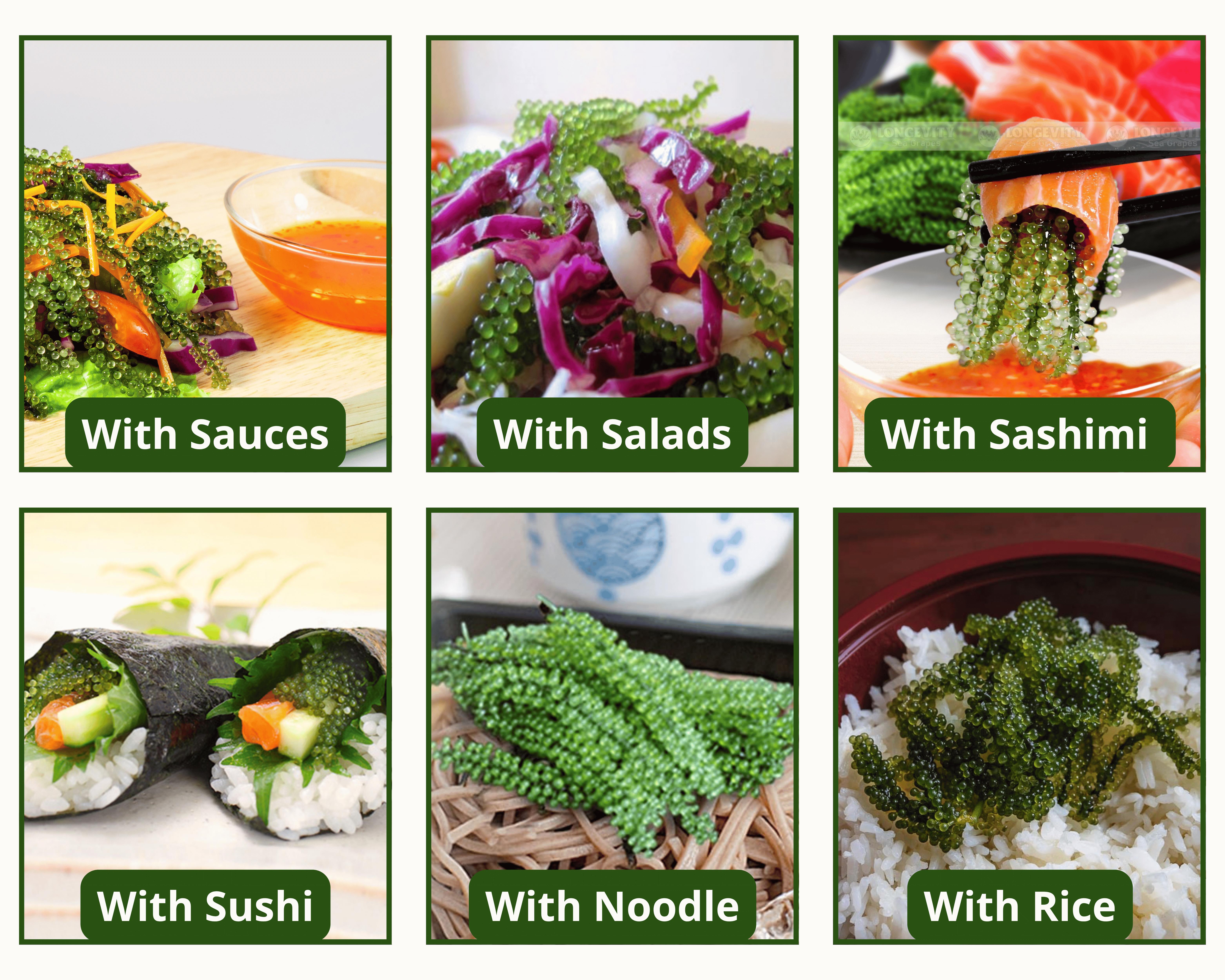 Longevity Dehydrated Sea Grapes 6 Packs of 4.23 oz Green Caviar Umibudo Latok Seaweed Organic Premium Quality Crunchy Flavor Superfood From The Ocean