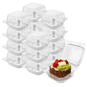 Cake Slice Containers 100pc Square Plastic Hinged Food Container Individual Clamshell Disposable To Go Takeout Tray For SaladsEverlanelnspired17