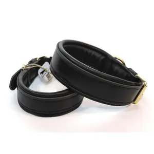 Bridgeport K9 Padded Leather Collar – Premium Black Leather Dog Collar for Comfort and Durability