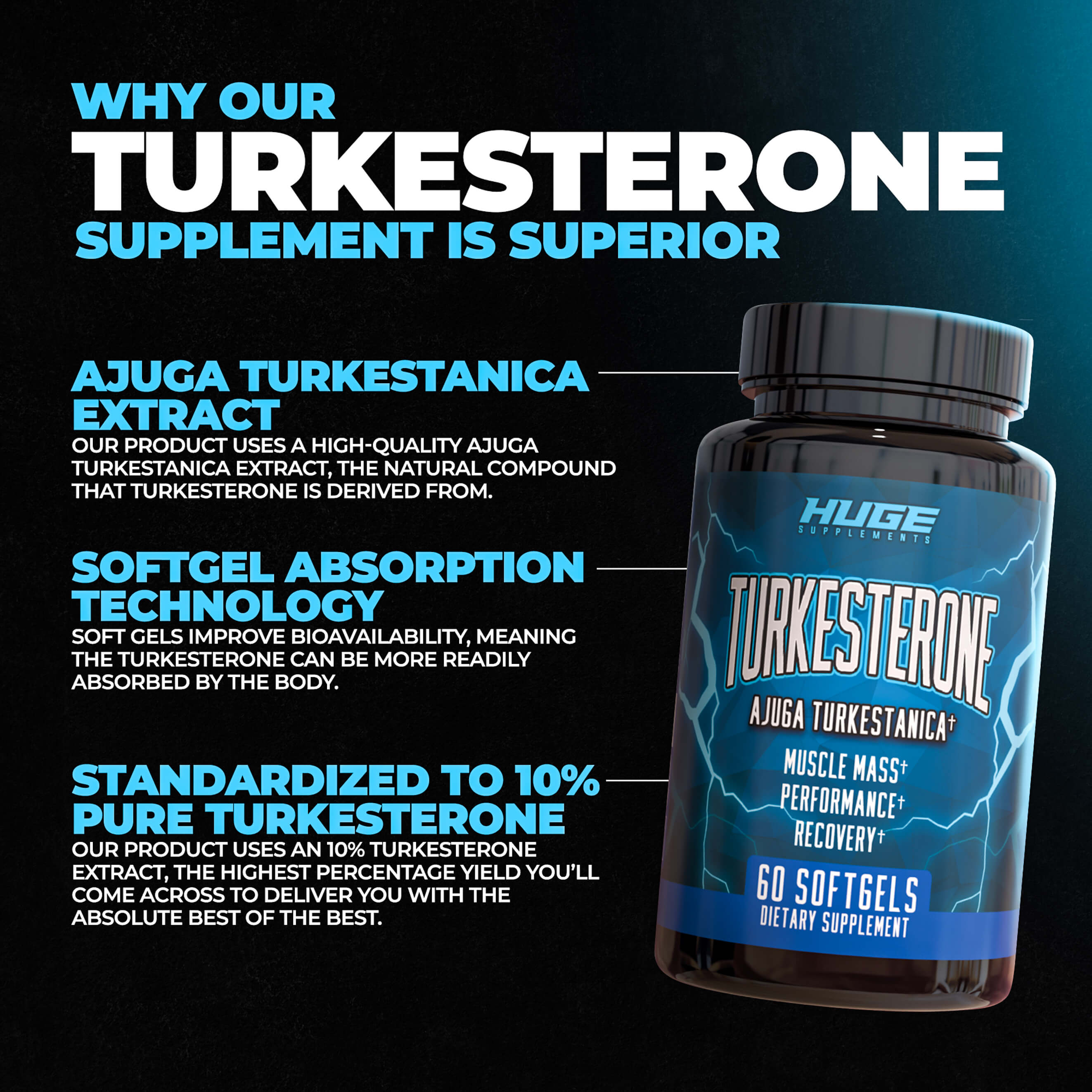 Huge Supplements Turkesterone Supplement (500mg) Ajuga Turkestanica Extract (60 Softgels)