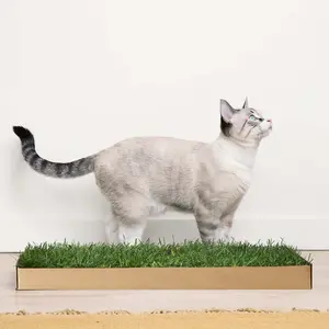 Kitty Lawn Real Grass Cat Window Perch – Natural Indoor Lounger for Cats | Your Cat’s Backyard in a Box - 24x9 Inch - USA Grown