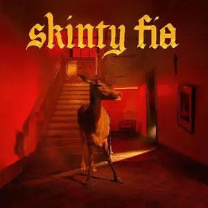 Fontaines D.C. - Skinty Fia  [VINYL RECORD - LP]