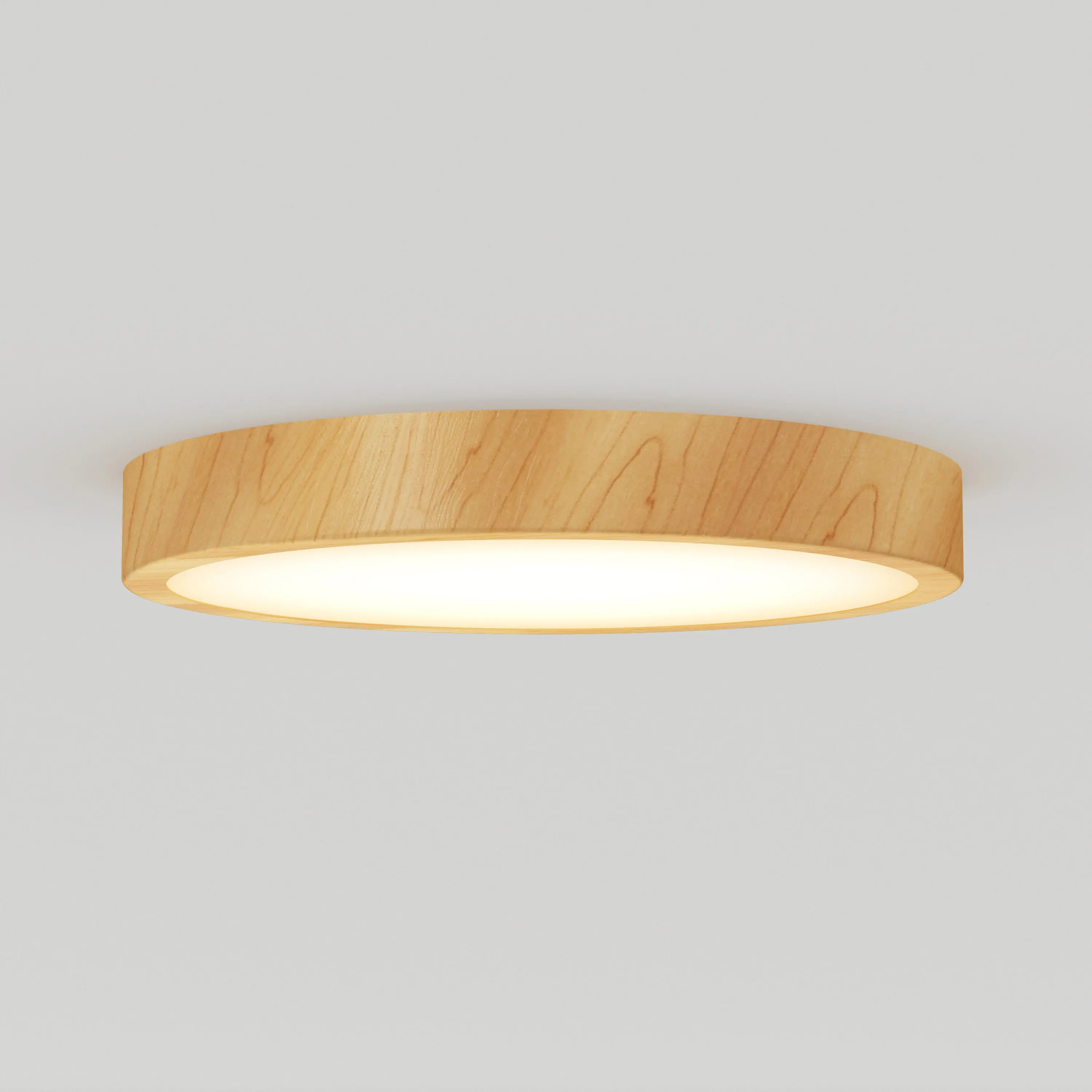Dryad 15 in. LED Modern flush mount light