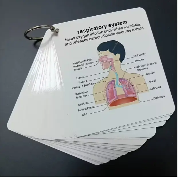 Square Ring-Bound Anatomical Flashcard Notebook Set, Compact Portable Office Stationery, Note Taking Supplies, Notebook for School, Medical and Nursing Students’ Study Guide, Great Gift for Students