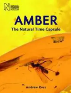 USED-Amber: The Natural Time Capsule by Andrew Ross (Paperback)