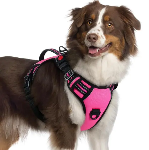 rabbitgoo Uplift Pro Adjustable Dog Harness with Neck Buckle