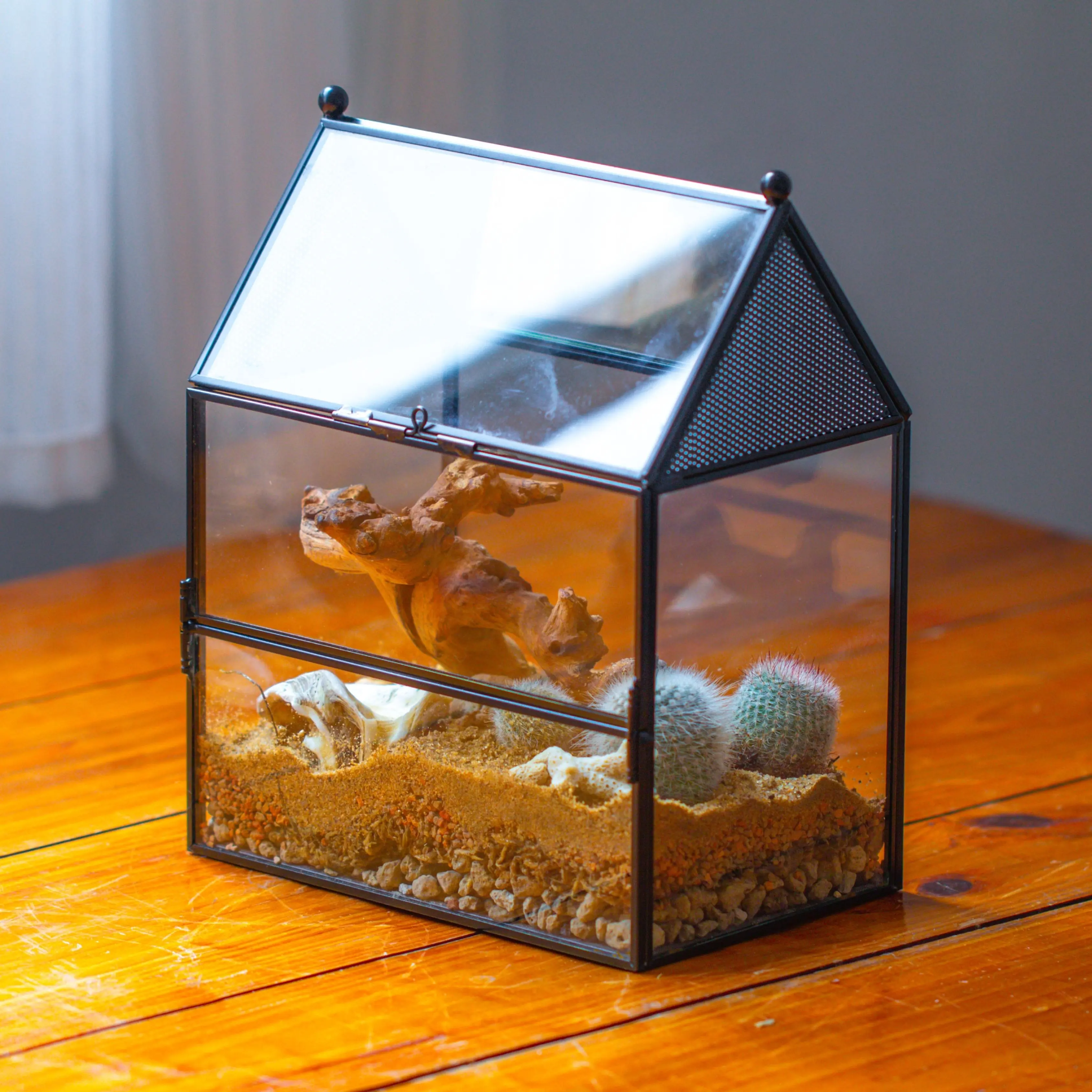 NCYP Glass Enclosure with Vent Holes for Insect, Jumping Spiders, Mantis - 7.5" x 4.9" x 9" Small Closed Front Opening Door Terrarium(No Plants)
