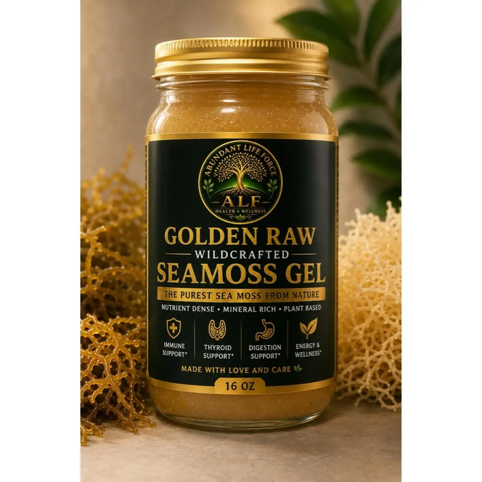 Organic Golden Raw Wildcrafted Seamoss Gel, 16 oz - Nutrient-Dense Plant-Based Herbal Supplement for Immune, Thyroid, Digestion Support