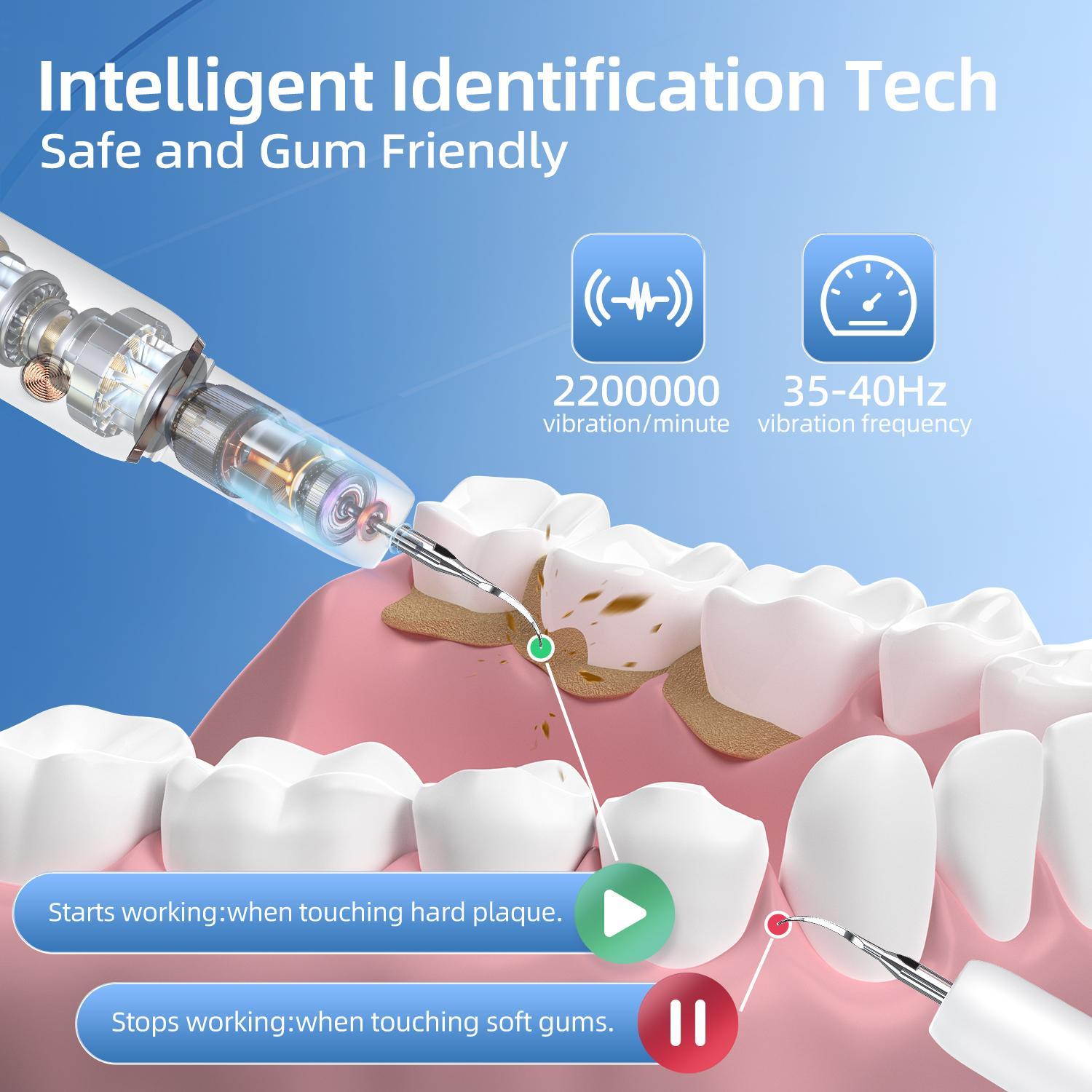 Glam Goddess Rechargeable Electric Teeth Cleaning Tool with 5 Modes & 3 Replaceable Heads Oral Irrigator for Home Use Tartar Remover Antibacterial Dental Care Kit