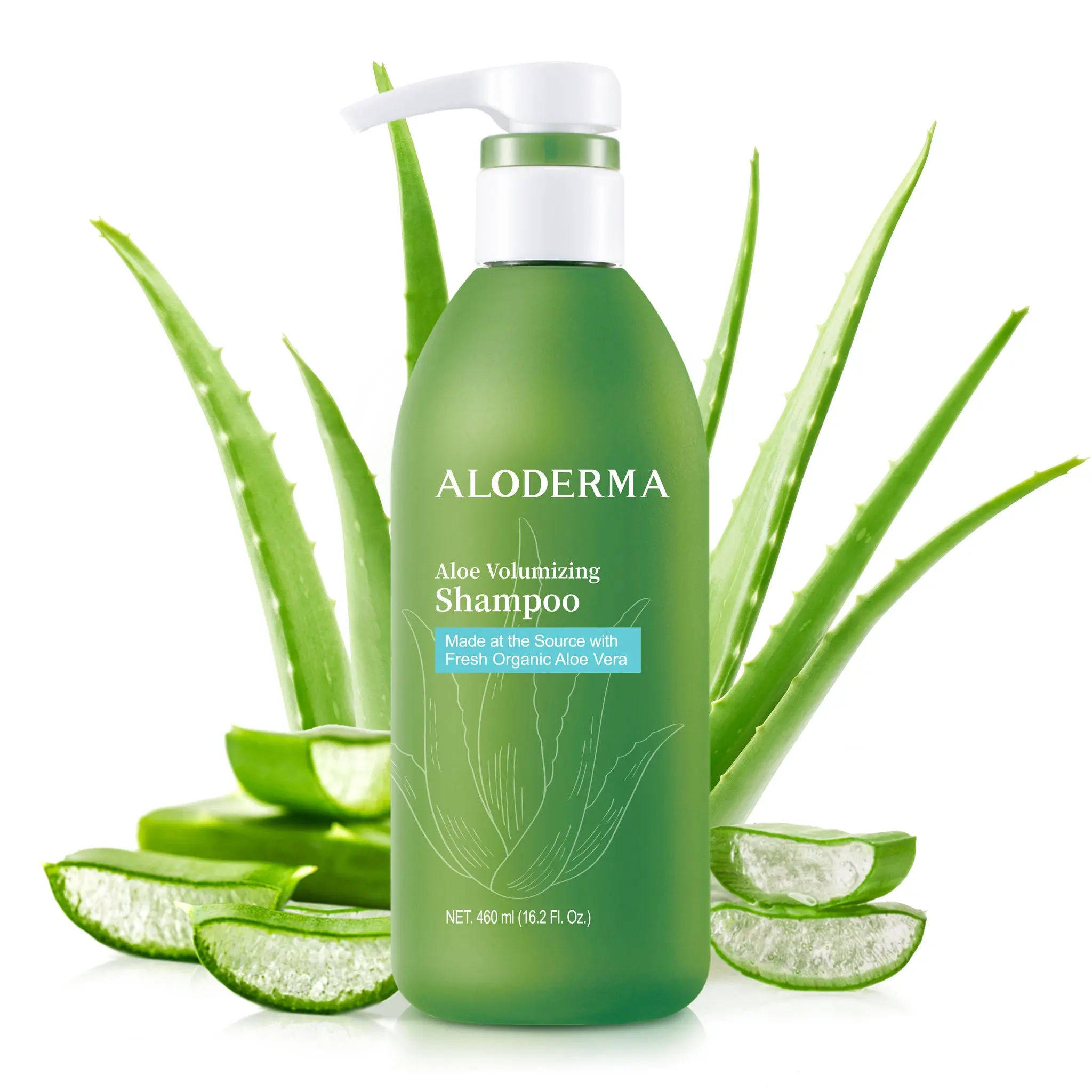 Aloderma Aloe Volumizing Vegan Hair Cleanser - 16oz Gentle Liquid Shampoo for Fine, Brittle, Thinning Hair, with Freshly Harvested Organic Aloe Vera, Arginine, Panthenol, Mineral Oil-, Alcohol-, Parabens-Free Haircare, Anti-Hair Loss