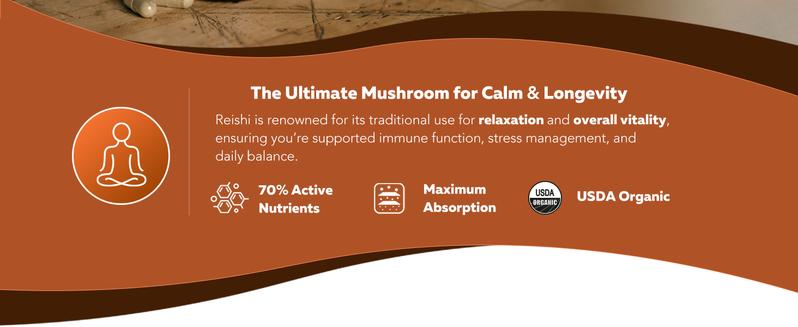 Organic Reishi Mushroom Capsules | 70% Beta Glucans – US Grown & Ultrasonically Extracted – Supports Overall Wellbeing – 60 Capsules Healthcare Dietary