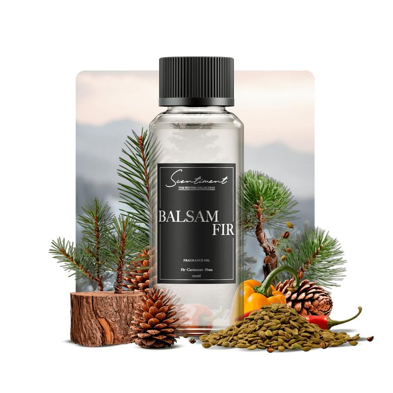 Scentiment Balsam Fir Fragrance Oil - Woody Aromatic Scented Oil for Aromatherapy Diffusers & Christmas Decor - Top Notes Fir Balsam & Pine - Middle Notes Cardamom & Pepper - Base Note Scotch Pine