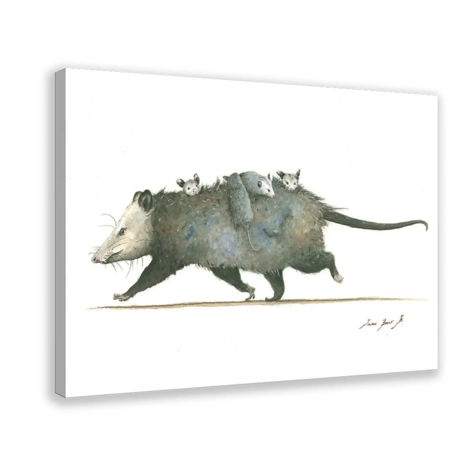 Opossum with Cubs Opossum Art - Marsupial Print Watercolor Painting Art Wall