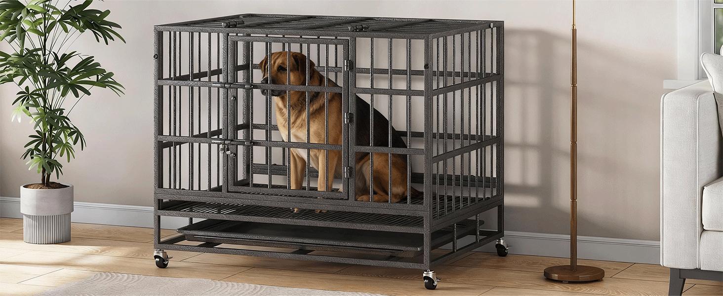 Collared Eagle Heavy-Duty Dog Cage 38" x 48", Reinforced Bottom Panel, Supports up to 200 lbs, Double Door Design, Wheels, Indoor Kennel for Large Breeds, Top-Loading Portable Enclosed Enclosure