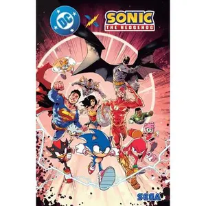 DC X Sonic the Hedgehog -- Ian Flynn, Paperback