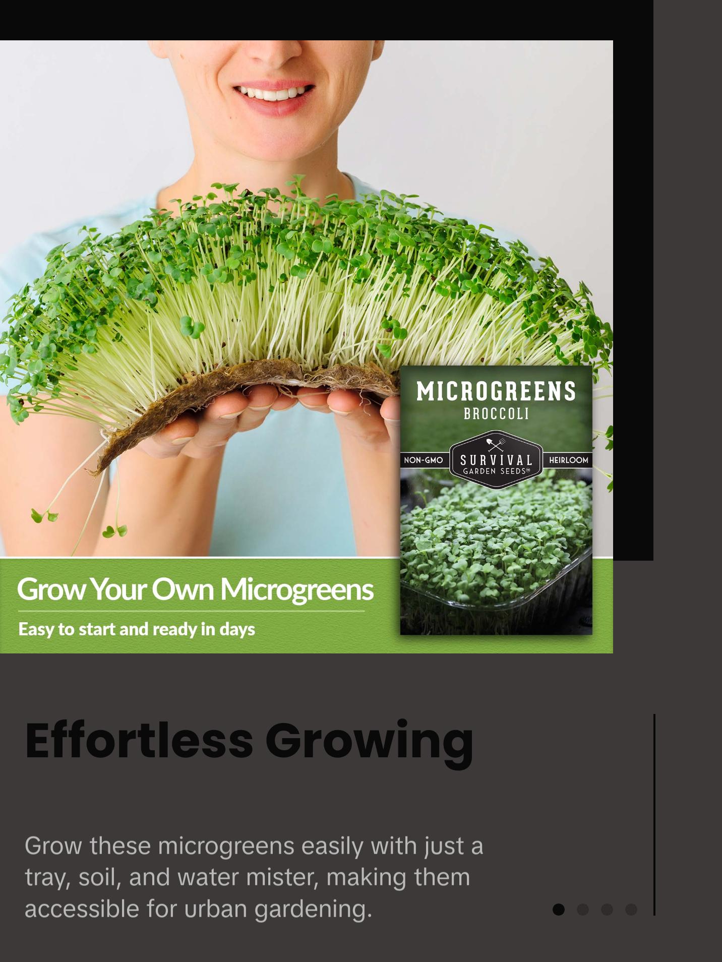 Broccoli Microgreens Seeds