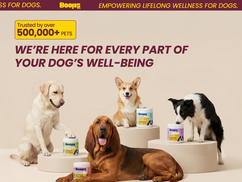 Boops Pets Calming Chews for Dogs – KSM-66 Ashwagandha, L-Theanine & Melatonin – Supports Relaxation & Calm Behavior – Great for Storms, Fireworks, Travel & Vet Visits – Turkey & Beef Flavor