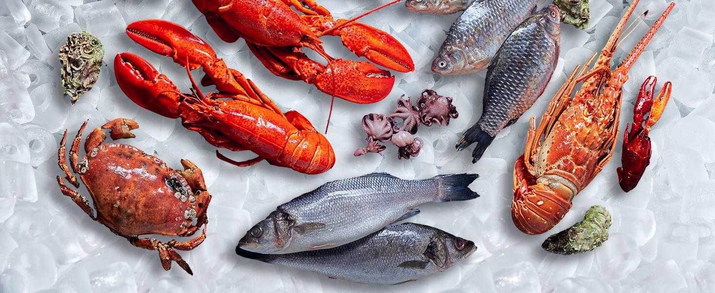 Gadgets Specialty Kitchen Utensils Countertop Ice Maker for Drinking, Portable Self-Cleaning Ice Machine with Ice Scoop, Basket and Handle