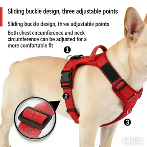 Easy-to-Use Lightweight Y-Style Anti-Pull Harness