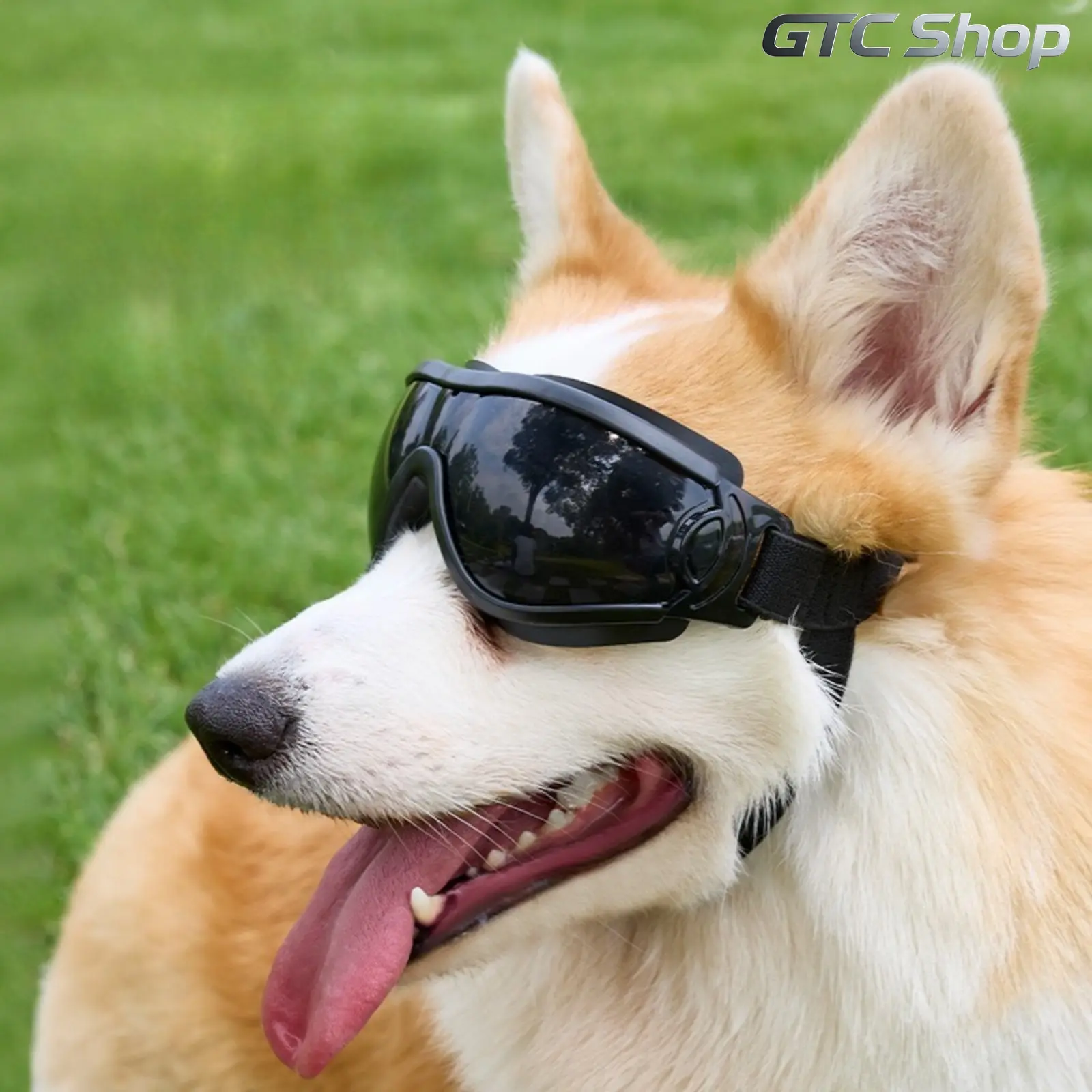 Adjustable Dog Goggles Sports Eyewear with UV400 Blocker, Flexible Windproof Anti-Fog Lenses, Adjustable Elastic Strap for Small-Medium Pets, Ideal for Beach Trips, Car Rides, Hiking