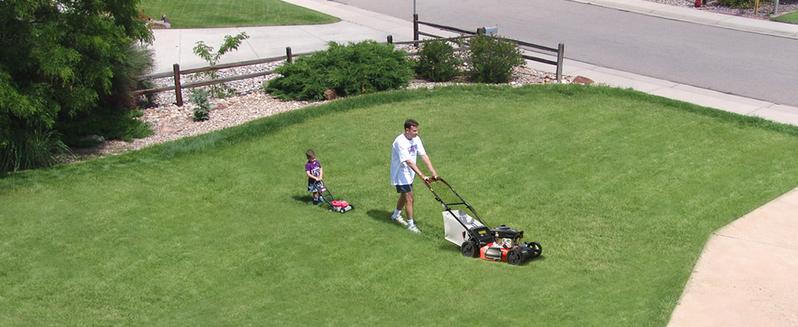 PowerSmart Lawn Mower Gas Powered, 18-Inch 144cc Engine 3-in-1 Walk-Behind Push Lawn Mower, Oil Included,SpringTok (DV8618P) PowerSmart Lawn Mower Gas Powered, 18-Inch 144cc Engine 3-in-1 Walk-Behind Push Lawn Mower, Oil Included,SpringTok (DV8618P)