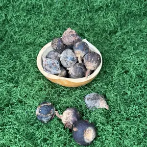Dry Gorontula fruit 20pcs