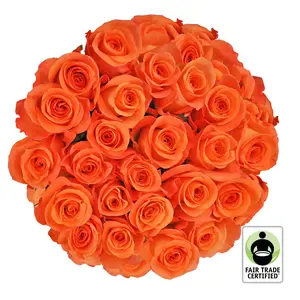 Fair Trade Natural Orange Roses - Choose from  25 to 100 Stems