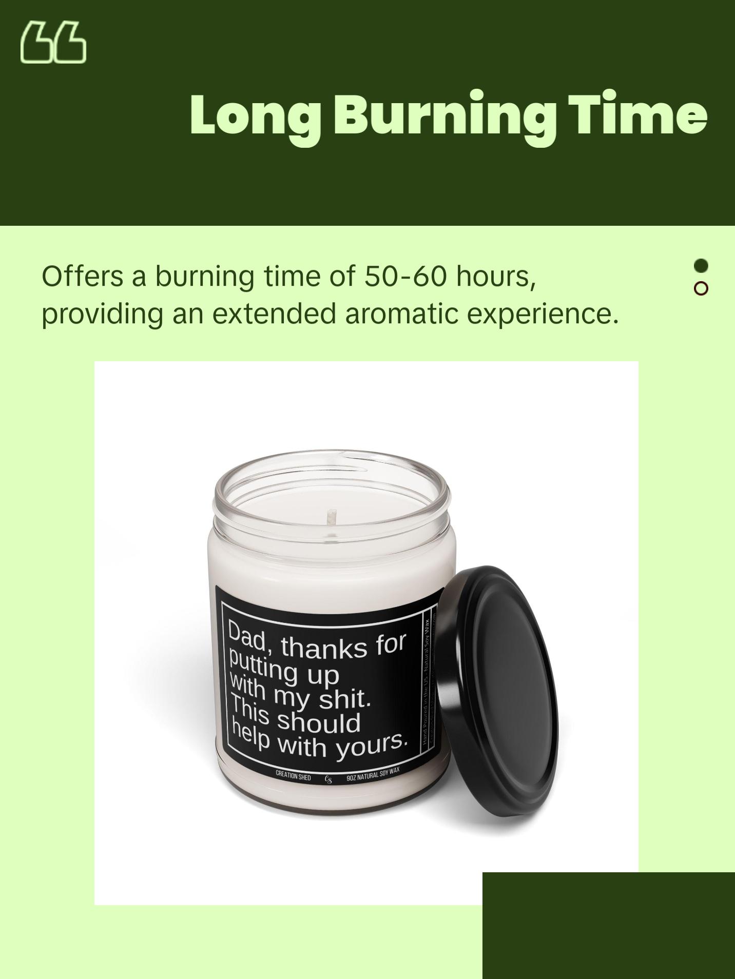 Fathers Day Gift, Funny Gift for Dad, Candle for Dad, Gag Gifts for Dad, Father's Day Gift from Daughter Son, Bonus Dad Gifts for Husband