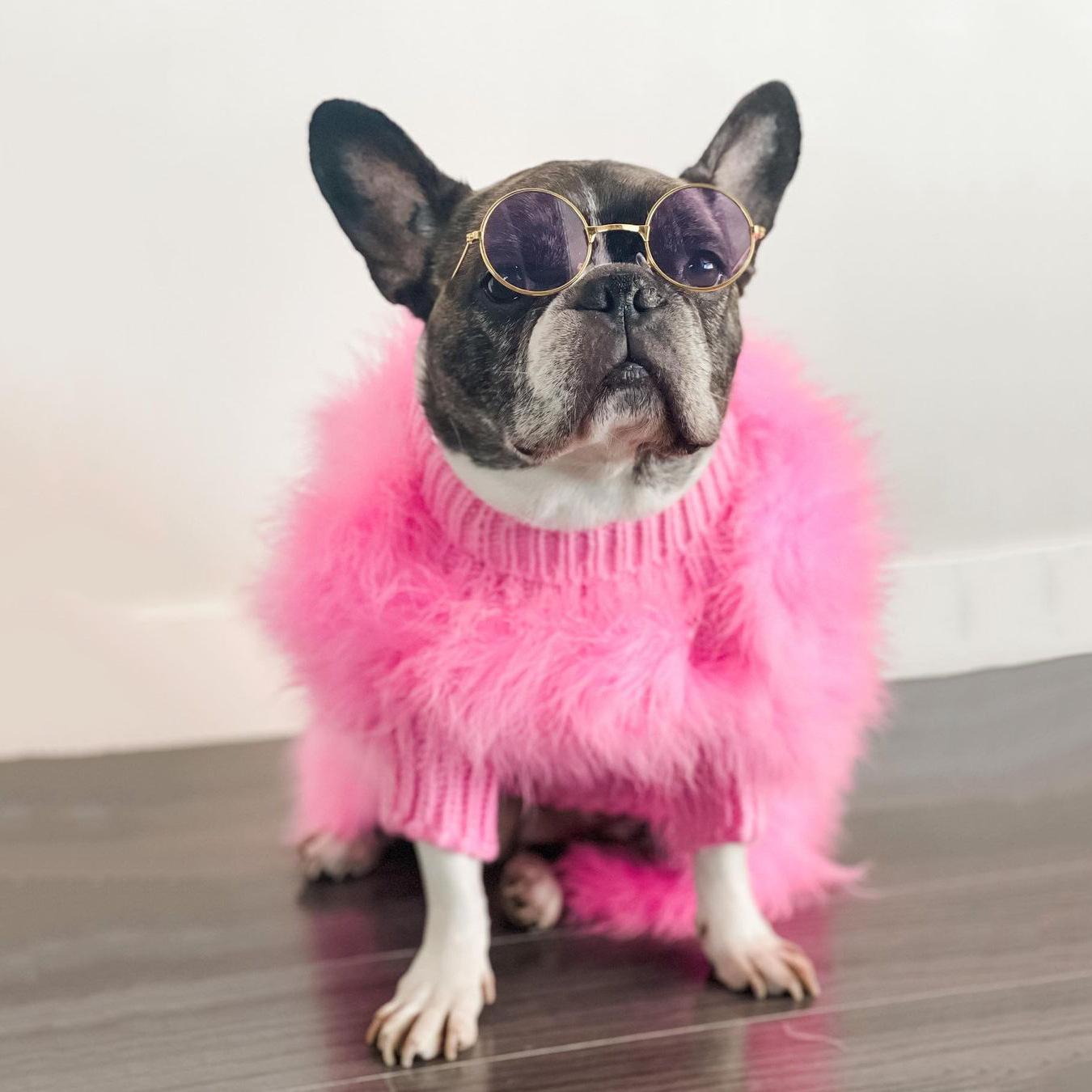 Haute Couture Feathered Luxury Pet Sweater Winter Warm Soft Fluffy Coat for Small Medium Dogs & Cats in Blue and Pink Size S M L XL