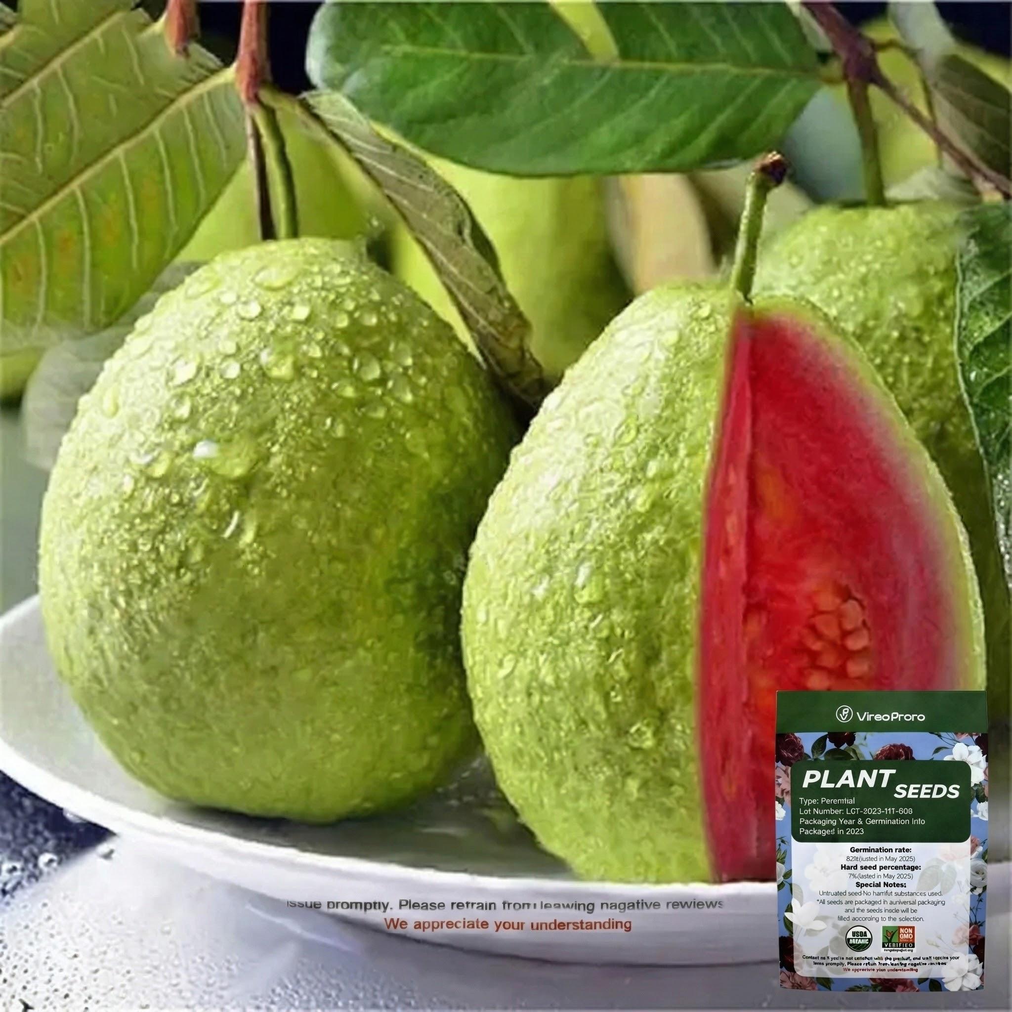 200 Pink Guava Seeds for Planting Ideal for Pots Greenhouses and Outdoor Gardens Versatile Use for All Gardening Enthusiasts Plant Starter 200 Pink Guava Seeds for Planting Ideal for Pots Greenhouses and Outdoor Gardens Versatile Use for All Gardening Enthusiasts Plant Starter
