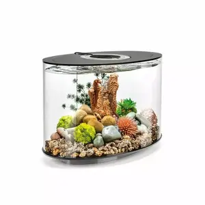 biOrb LOOP 15 Aquarium with MCR Light  4 gallon
