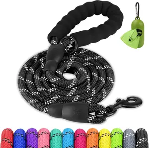 Joytale Dog Leash