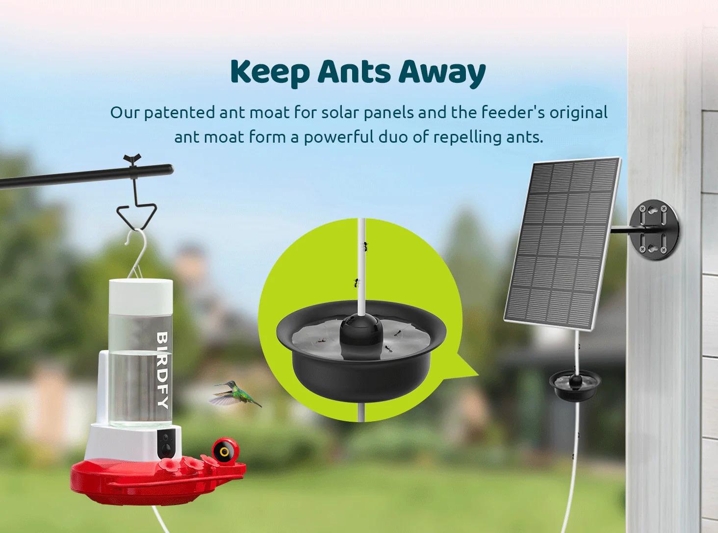 Birdfy Hum Feeder Duo with Dual Camera - 2K High-Resolution Cameras for Hummingbird Behavior and Appearance