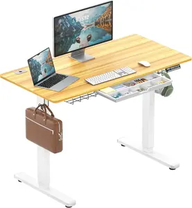 48-Inch Electric Height Adjustable Standing Desk with Drawer, Memory Preset and Cable Management Tray, Oak