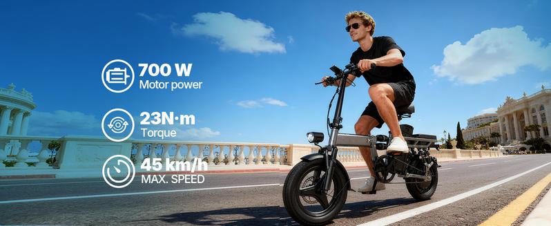 PASLDA Folding Electric Bike for Adults 48V 15Ah Battery 14"/20" Wheels 500W Motor 20MPH Speed 30 Miles Range Multi-Shock Absorption Compact Commuter E-Bike