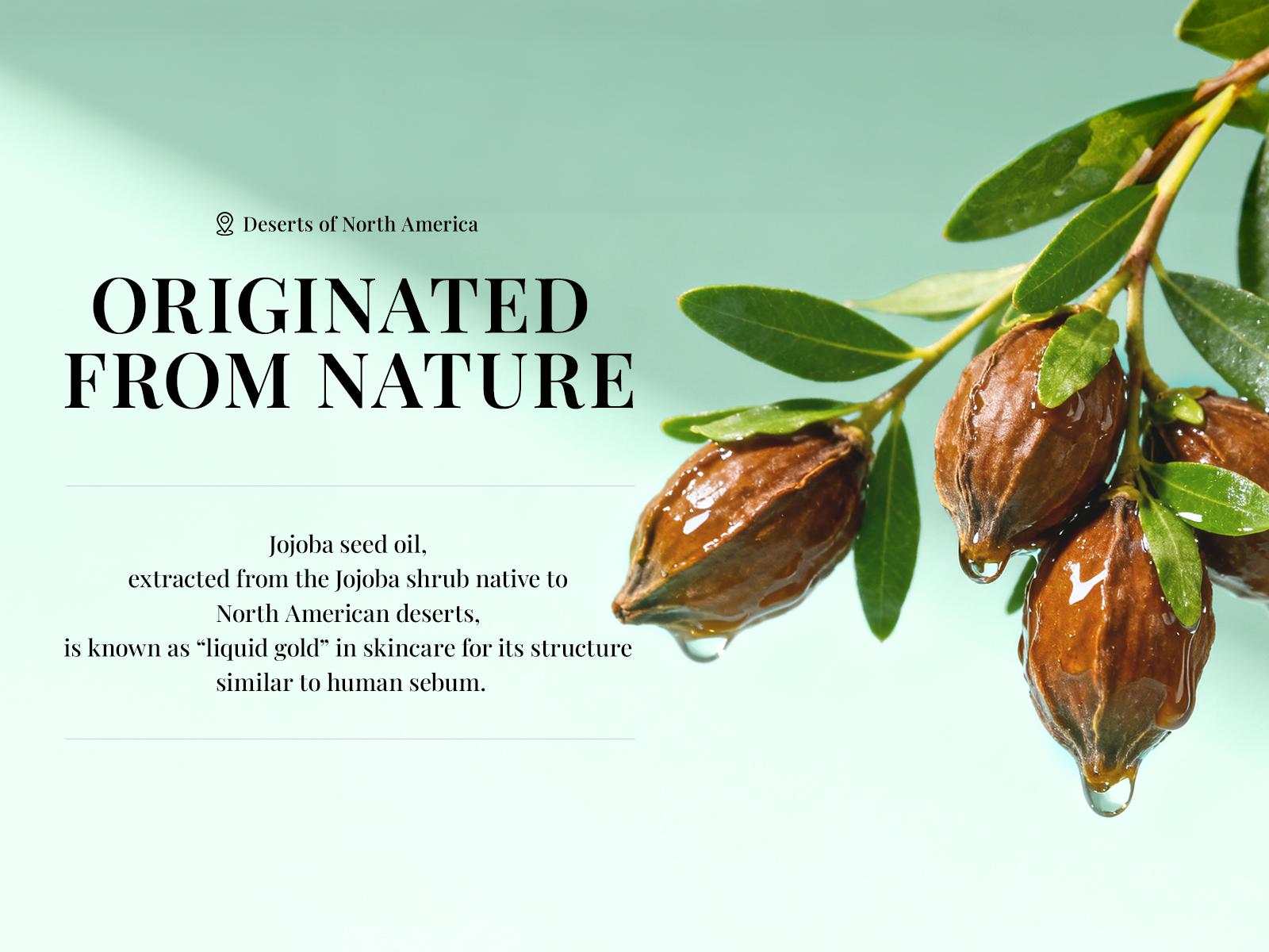 New!Sttes Shower Oil 02# (Irresistible Sunshine) 5.47 oz – Moisturizing Body Wash with Pistachio, Almond, Vanilla & Salted Caramel, Natural Plant Oils, No Mineral Oil, Parabens or Phthalates